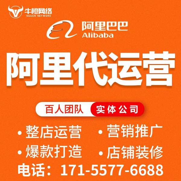 随州电商代运营