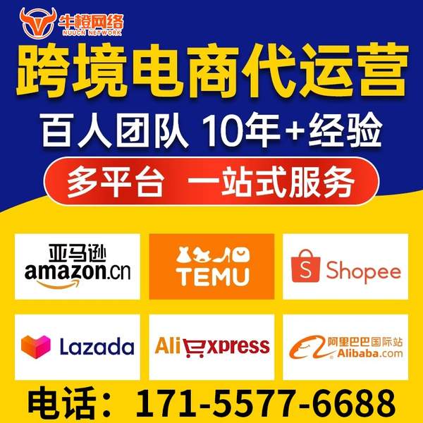 随州电商代运营