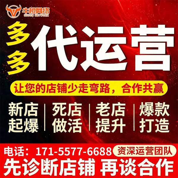 随州电商代运营