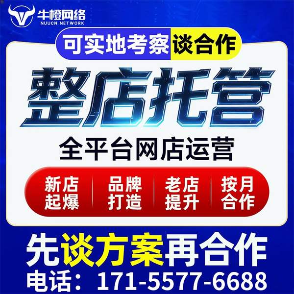 随州电商代运营
