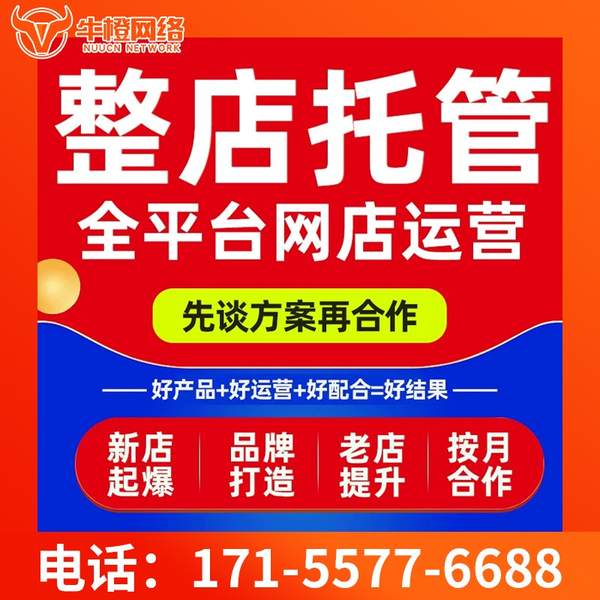 随州电商代运营
