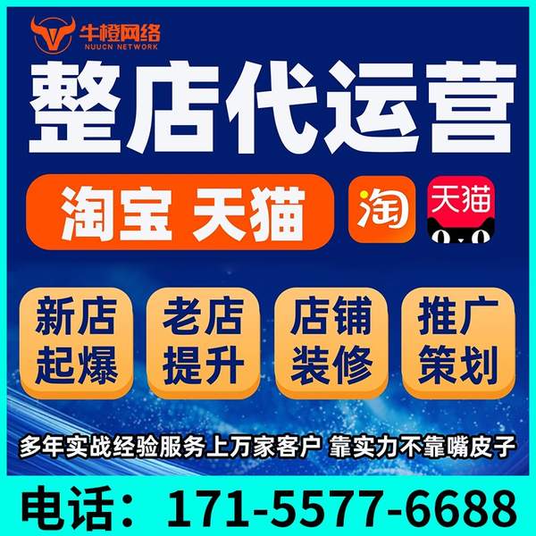 随州电商代运营