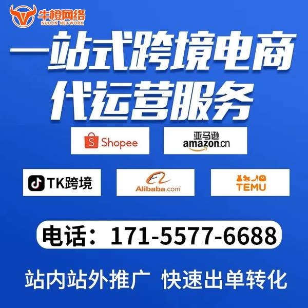 随州电商代运营