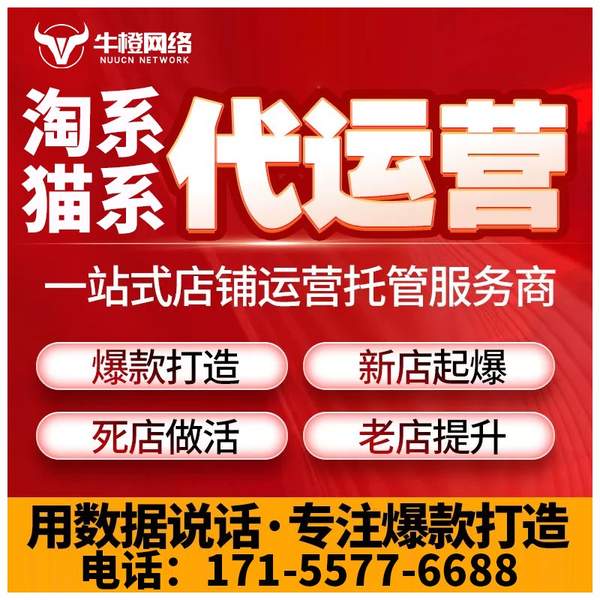 随州电商代运营